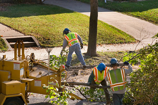 Best Storm Damage Tree Cleanup  in Hyrum, UT